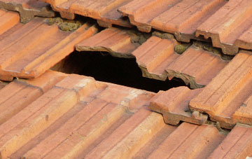 roof repair Newport