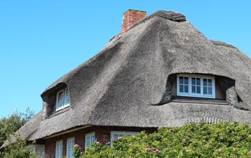thatch roofing Newport
